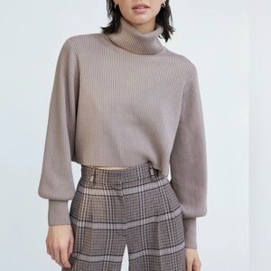 Aritzia wilfred turtleneck merino wool sweater